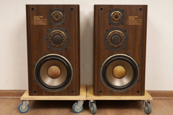 Diatone DS-1000