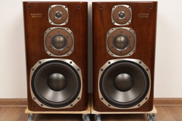 Onkyo Monitor 2001