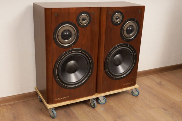 Victor SX-900 spirit — изображение 3