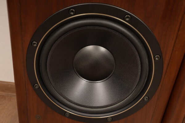 Victor SX-900 spirit — изображение 7