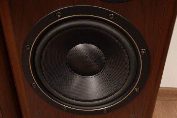 Victor SX-900 spirit — изображение 8