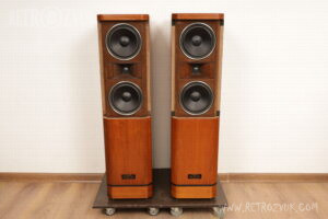 pioneer s 1000twin a 008a5885 1 Pioneer S-1000TWIN A