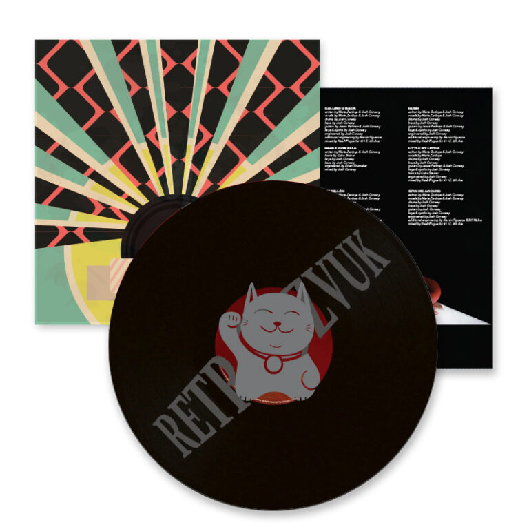vynil cat 001