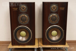 Diatone DS-1000HR