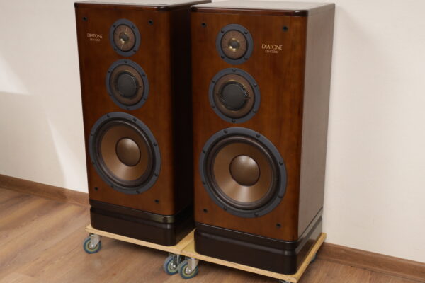 Diatone DS V-3000 — изображение 3