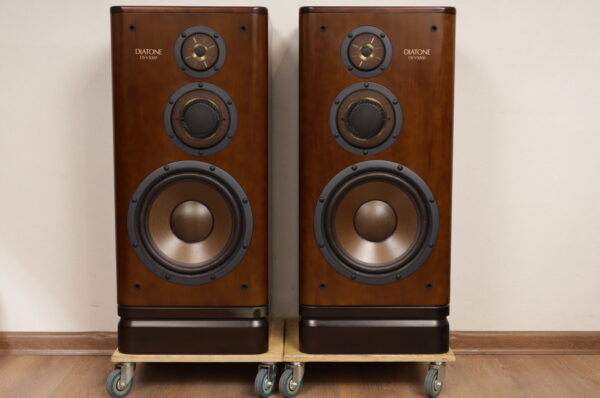 Diatone DS V-3000