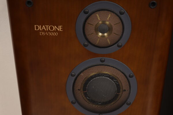 Diatone DS V-3000 — изображение 6
