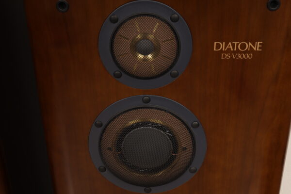 Diatone DS V-3000 — изображение 7