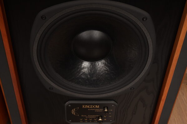 Tannoy Kingdom 12 — изображение 8
