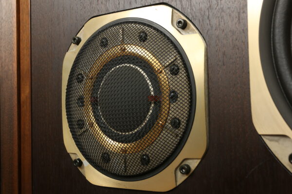 Diatone DS-5000 — изображение 12