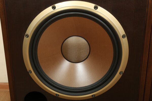 Diatone DS-5000 — изображение 2