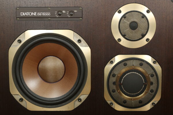 Diatone DS-5000 — изображение 3
