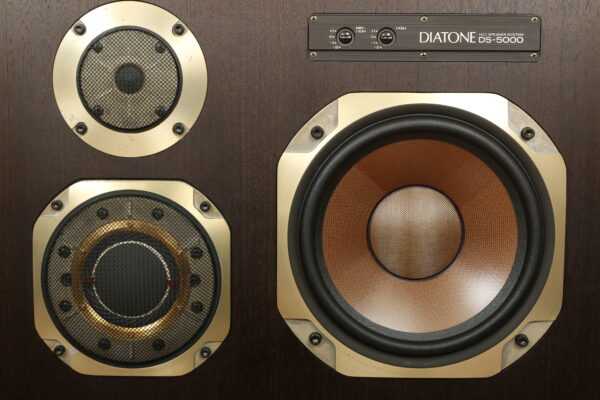 Diatone DS-5000 — изображение 5