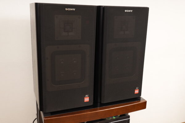 Sony APM-22esAV — изображение 10