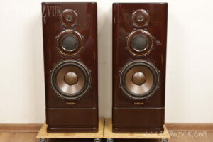 diatone ds 20000 008a9524 1 Diatone DS-20000